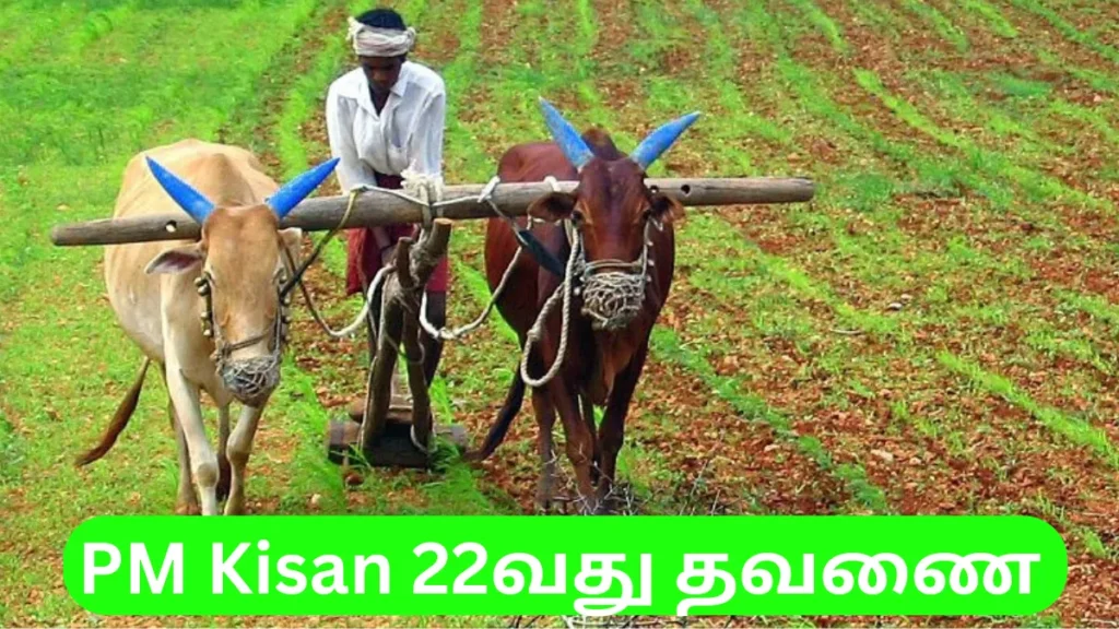 PM Kisan 22nd installment